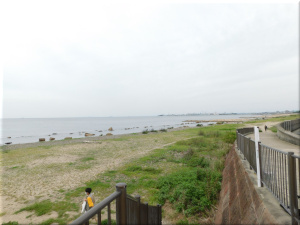 ながさわ明石江井島酒館の前の海