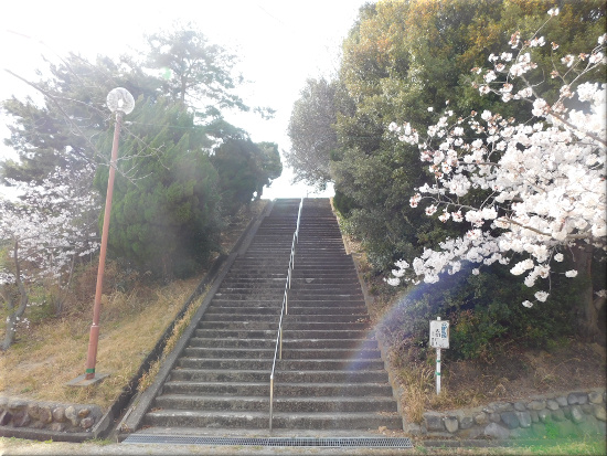 朝霧公園　階段