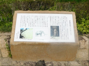 アカシゾウ発掘地の石碑