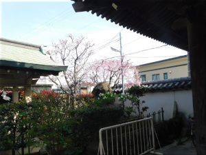 稲爪神社　2