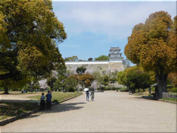 明石公園の中央園路