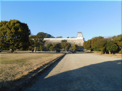 明石公園です。 明石公園 2