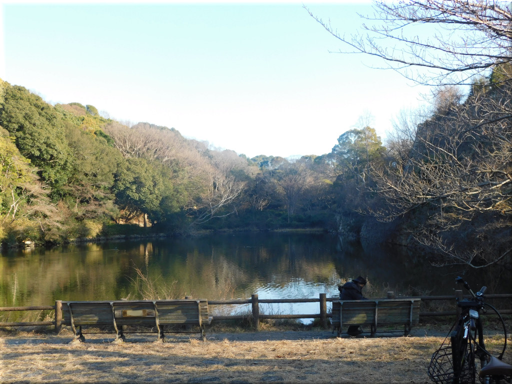 剛の池です。 桜堀