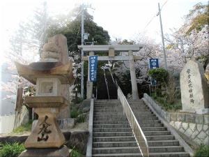 人丸山公園 桜